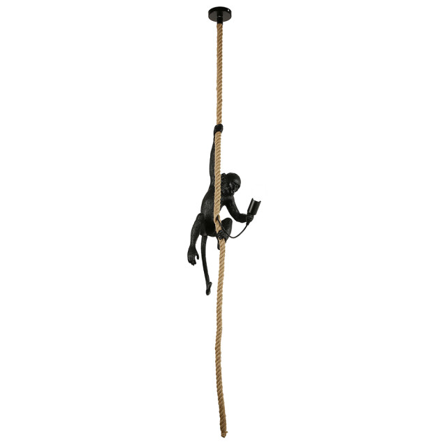 Подвес потолочный Loft Rope Ape 8051-1