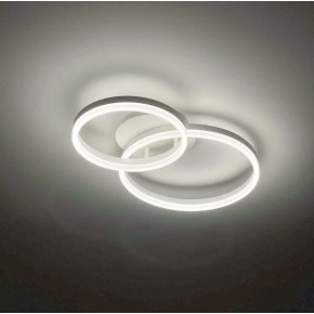 Стельова LED ЛЮСТРА НА 2 КІЛЬЦЯ в білому кольорі