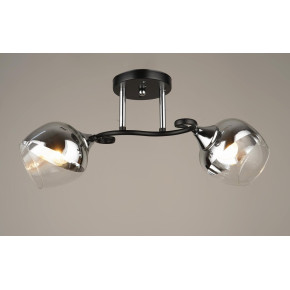 Люстра стельова Sirius B N4097/2 (на 2 плафони)