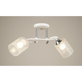Люстра стельова Sirius B N4523/2 WT+CH на 2 плафони