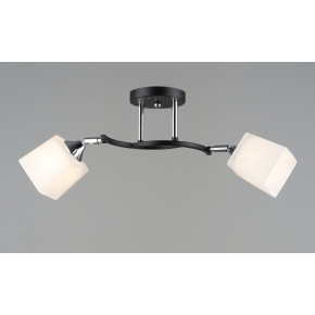 Люстра стельова Sirius B N6106/2 BK+CR з поворотнім механізмом