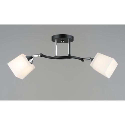 Люстра стельова Sirius B N6106/2 BK+CR з поворотнім механізмом