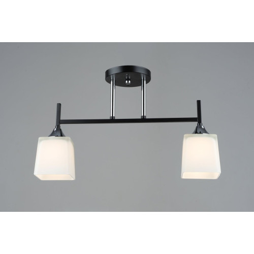 Люстра декоративна Sirius B N5458/2 BK+CH